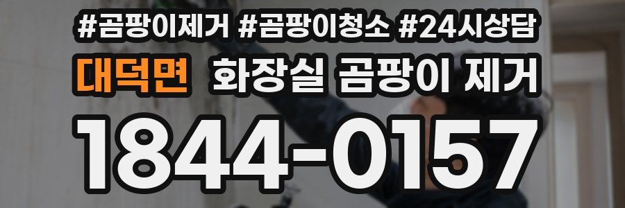 대덕면 화장실 곰팡이 제거