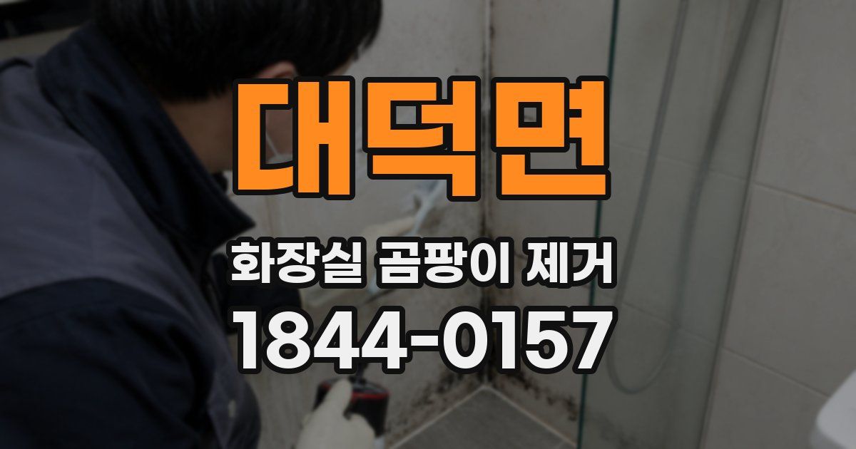 대덕면 화장실 곰팡이 제거