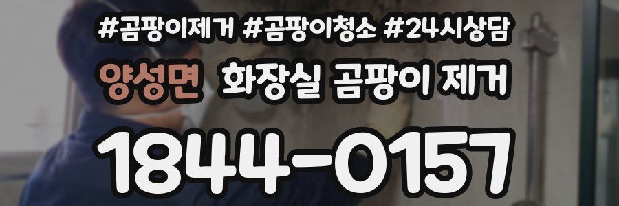 양성면 화장실 곰팡이 제거