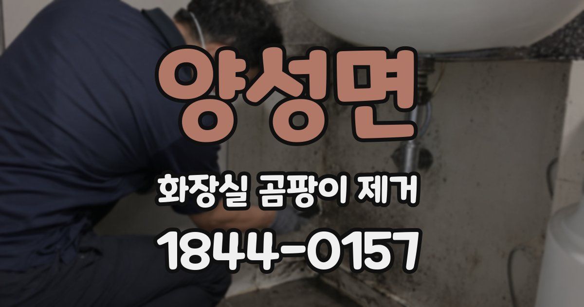 양성면 화장실 곰팡이 제거