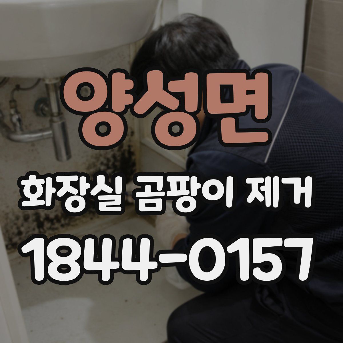 양성면 화장실 곰팡이 제거
