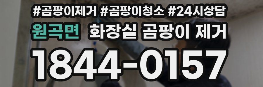 원곡면 화장실 곰팡이 제거