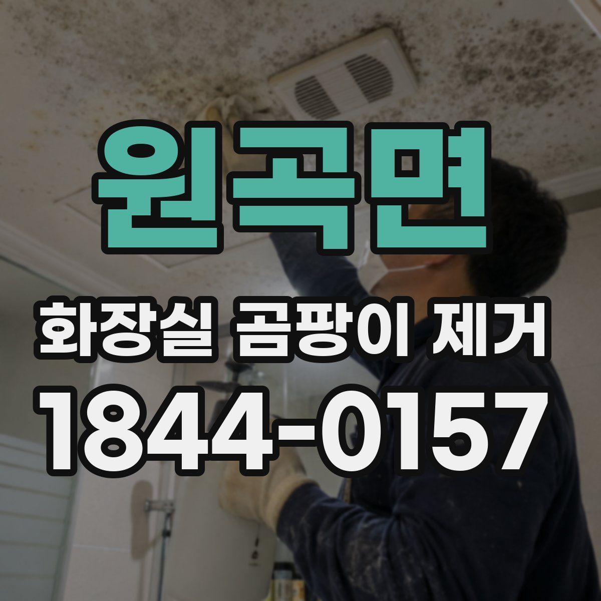 원곡면 화장실 곰팡이 제거