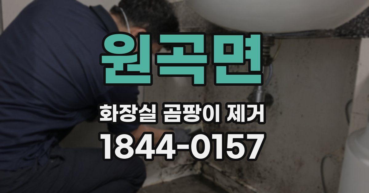 원곡면 화장실 곰팡이 제거