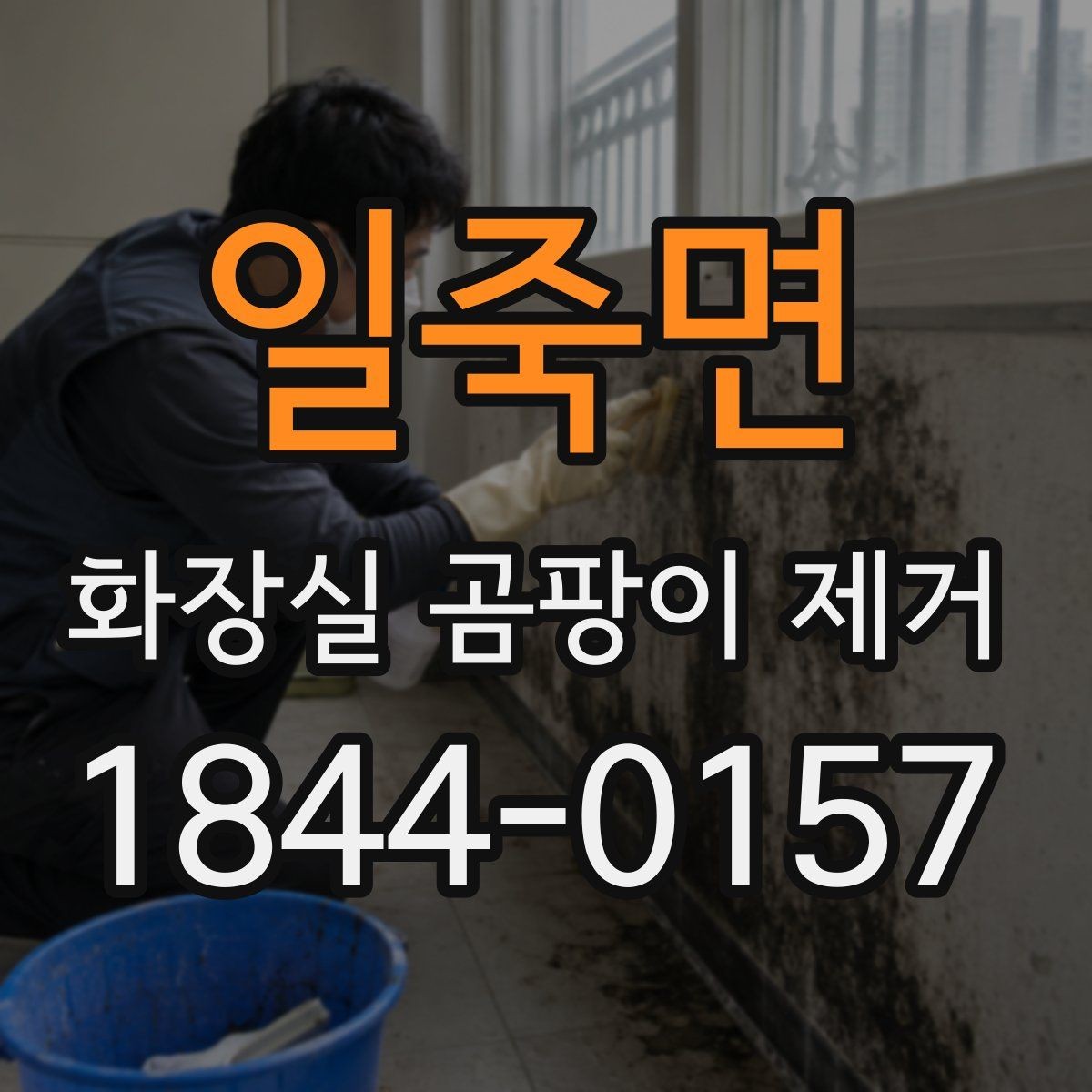 일죽면 화장실 곰팡이 제거 곰팡이 번짐이 반복될 때 확인할 곳