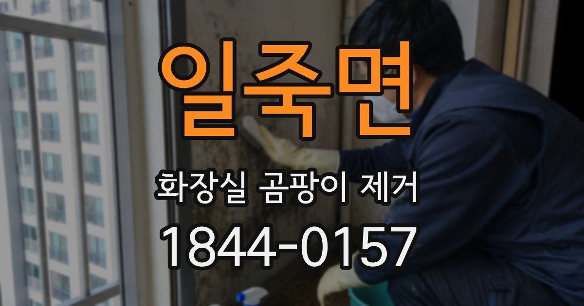 일죽면 화장실 곰팡이 제거