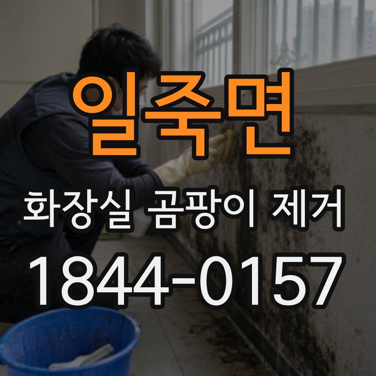 일죽면 화장실 곰팡이 제거
