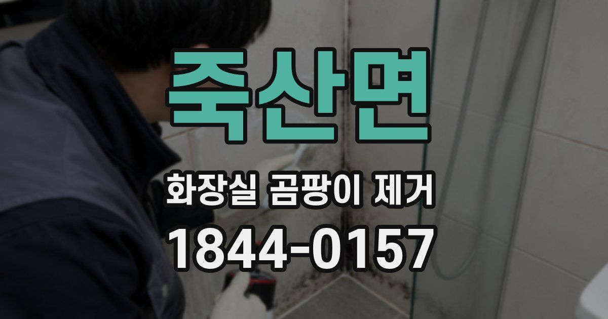죽산면 화장실 곰팡이 제거