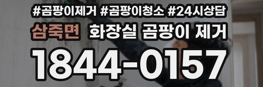 삼죽면 화장실 곰팡이 제거