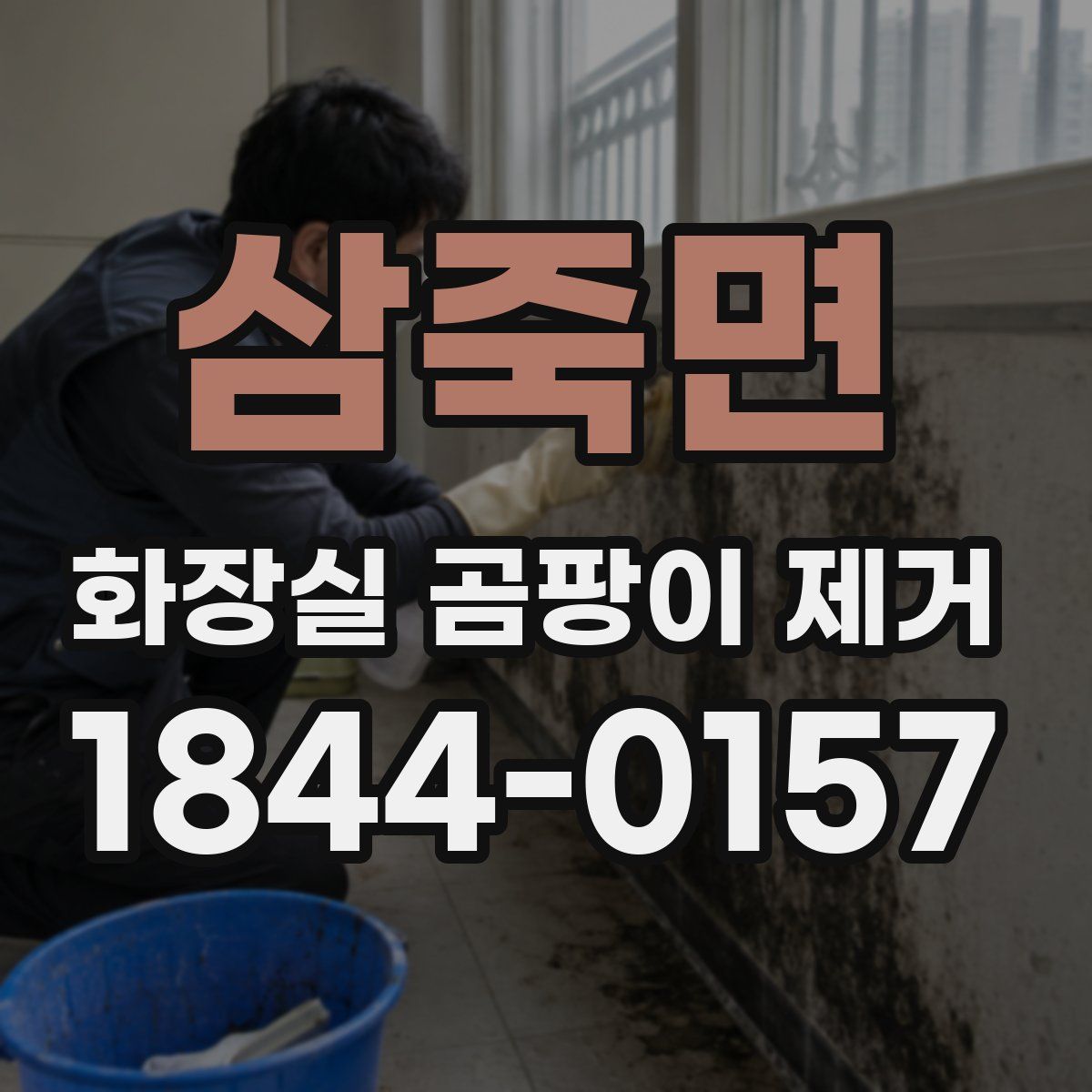 삼죽면 화장실 곰팡이 제거