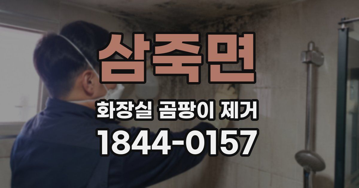 삼죽면 화장실 곰팡이 제거