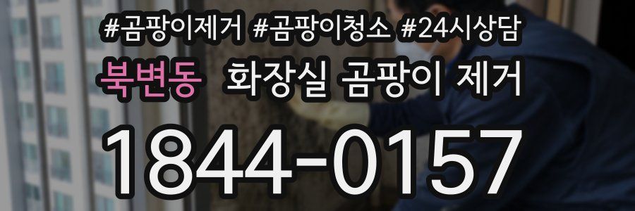 북변동 화장실 곰팡이 제거