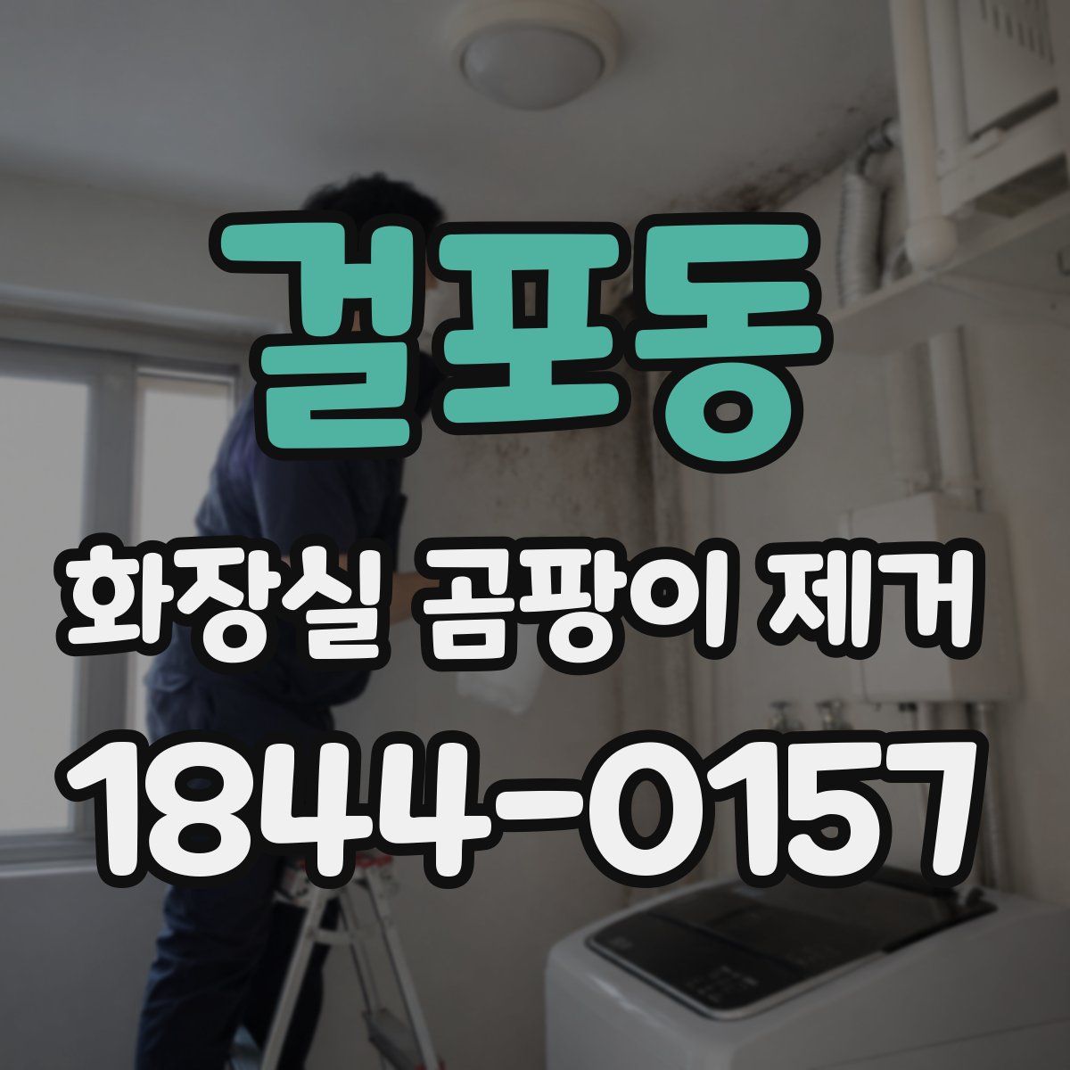 걸포동 화장실 곰팡이 제거