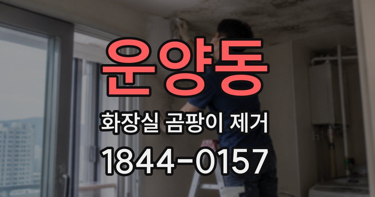 운양동 화장실 곰팡이 제거