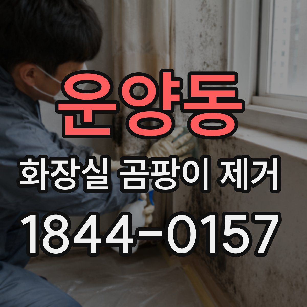 운양동 화장실 곰팡이 제거