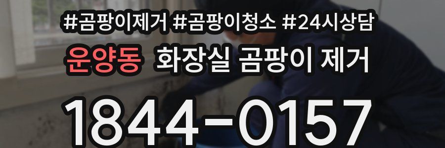 운양동 화장실 곰팡이 제거
