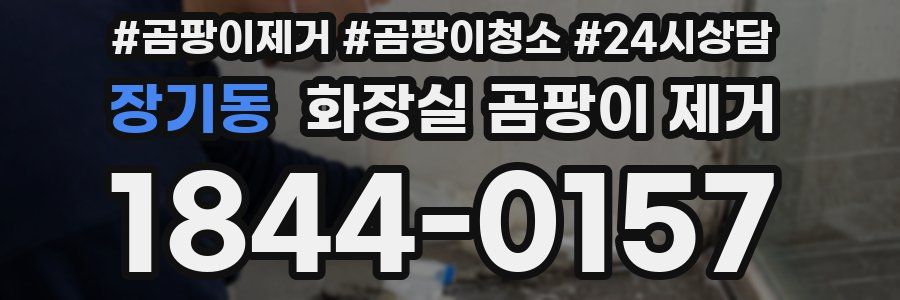 장기동 화장실 곰팡이 제거
