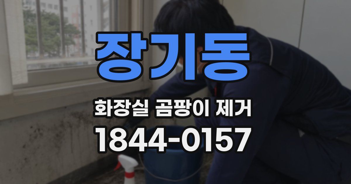 장기동 화장실 곰팡이 제거