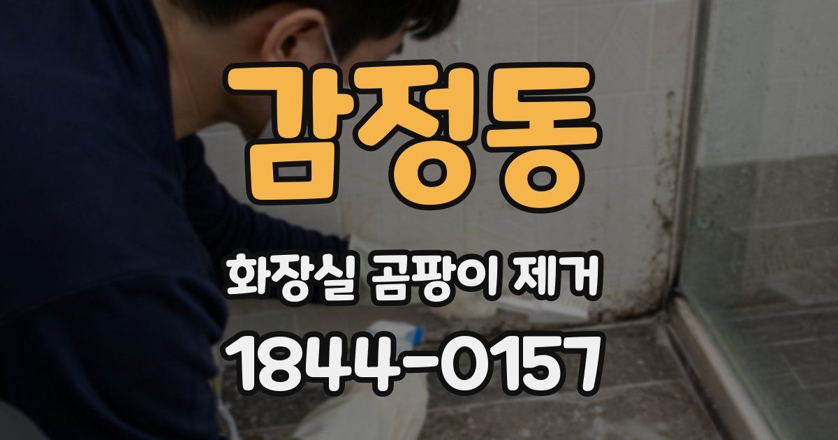 감정동 화장실 곰팡이 제거