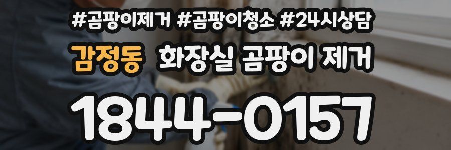 감정동 화장실 곰팡이 제거