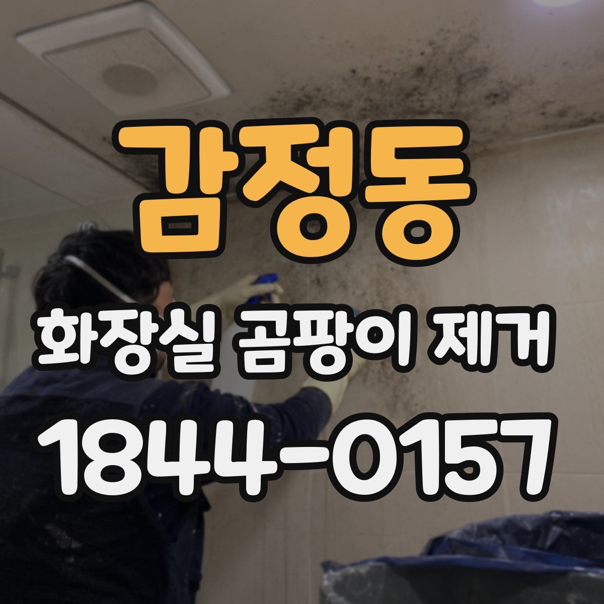 감정동 화장실 곰팡이 제거