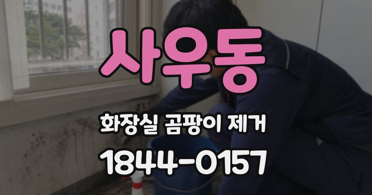 사우동 화장실 곰팡이 제거