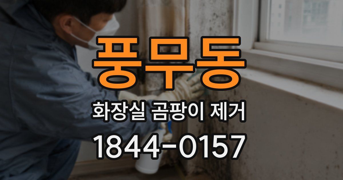 풍무동 화장실 곰팡이 제거