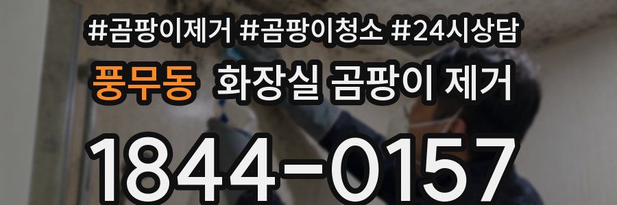 풍무동 화장실 곰팡이 제거