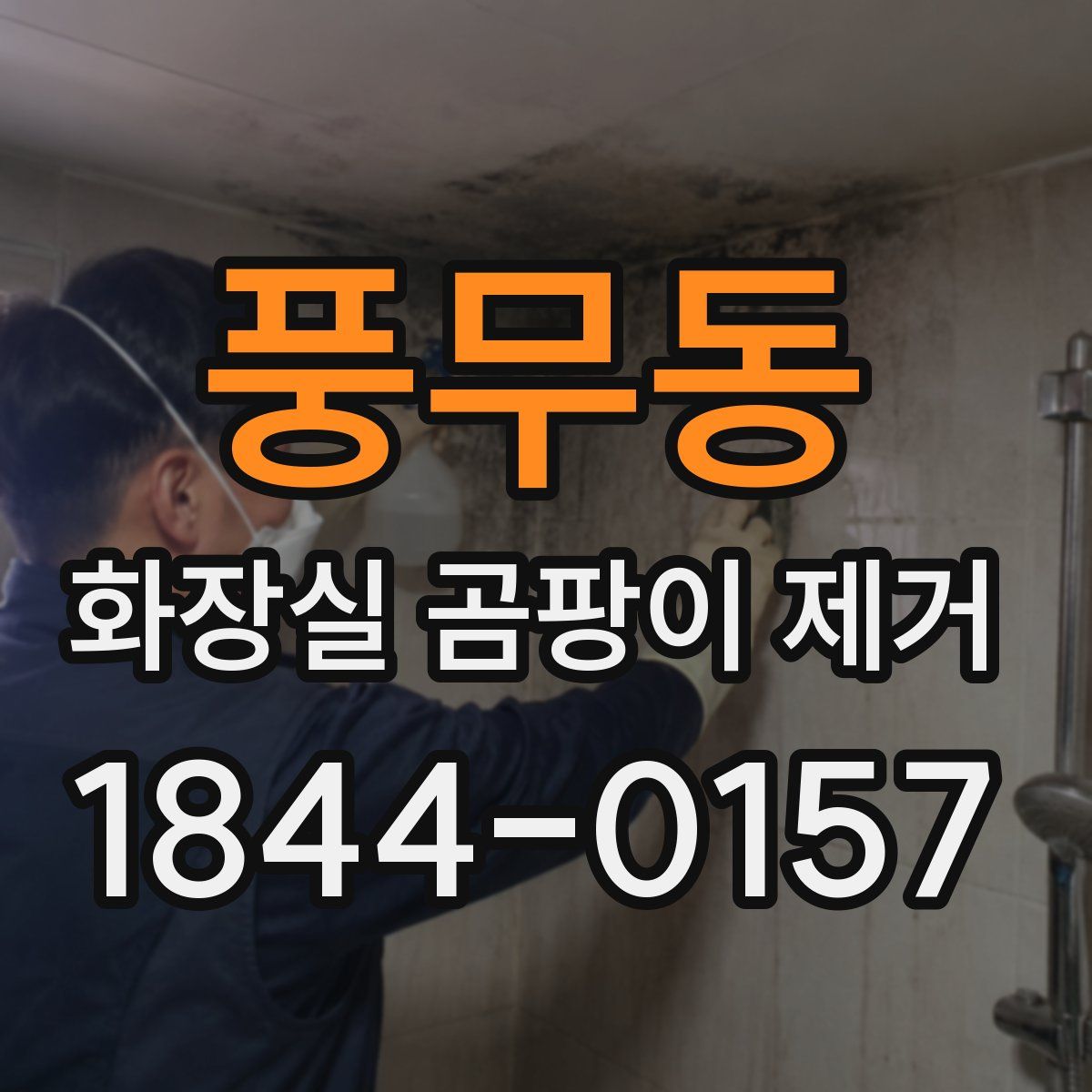 풍무동 화장실 곰팡이 제거