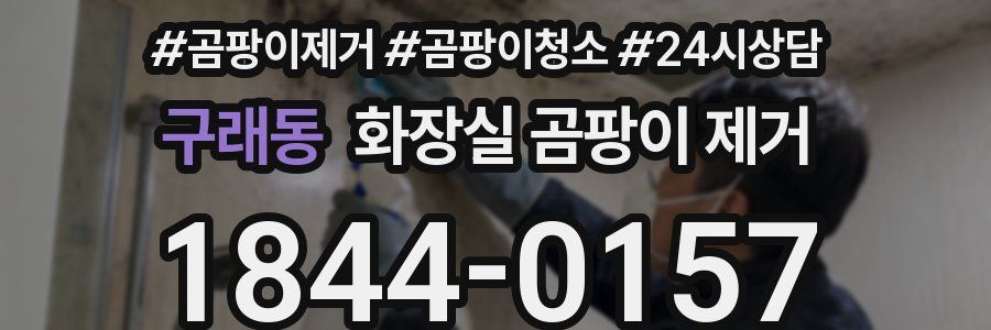 구래동 화장실 곰팡이 제거