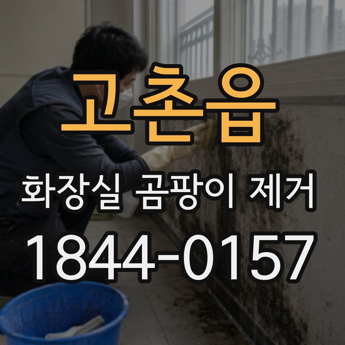 고촌읍 화장실 곰팡이 제거