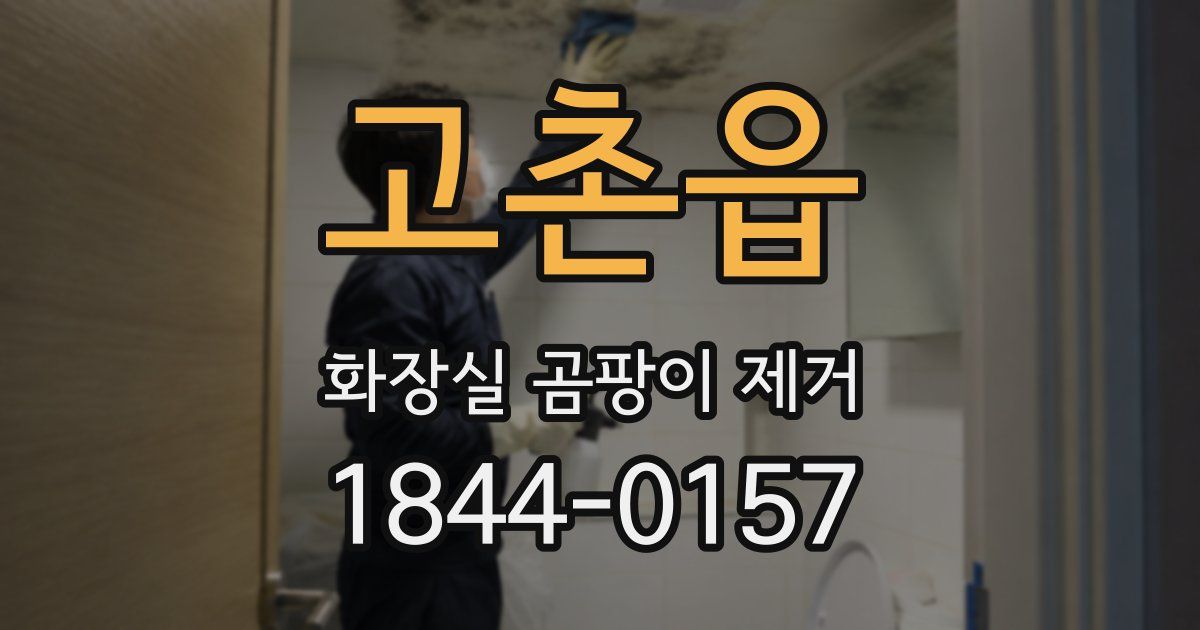 고촌읍 화장실 곰팡이 제거