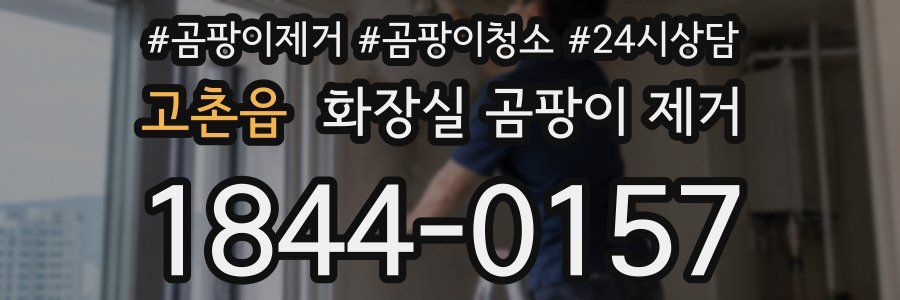 고촌읍 화장실 곰팡이 제거