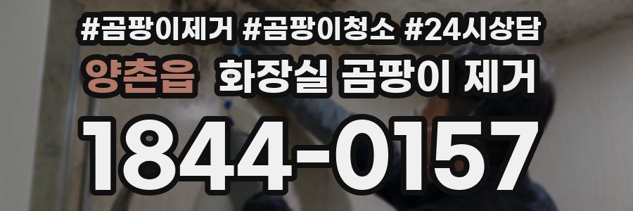 양촌읍 화장실 곰팡이 제거