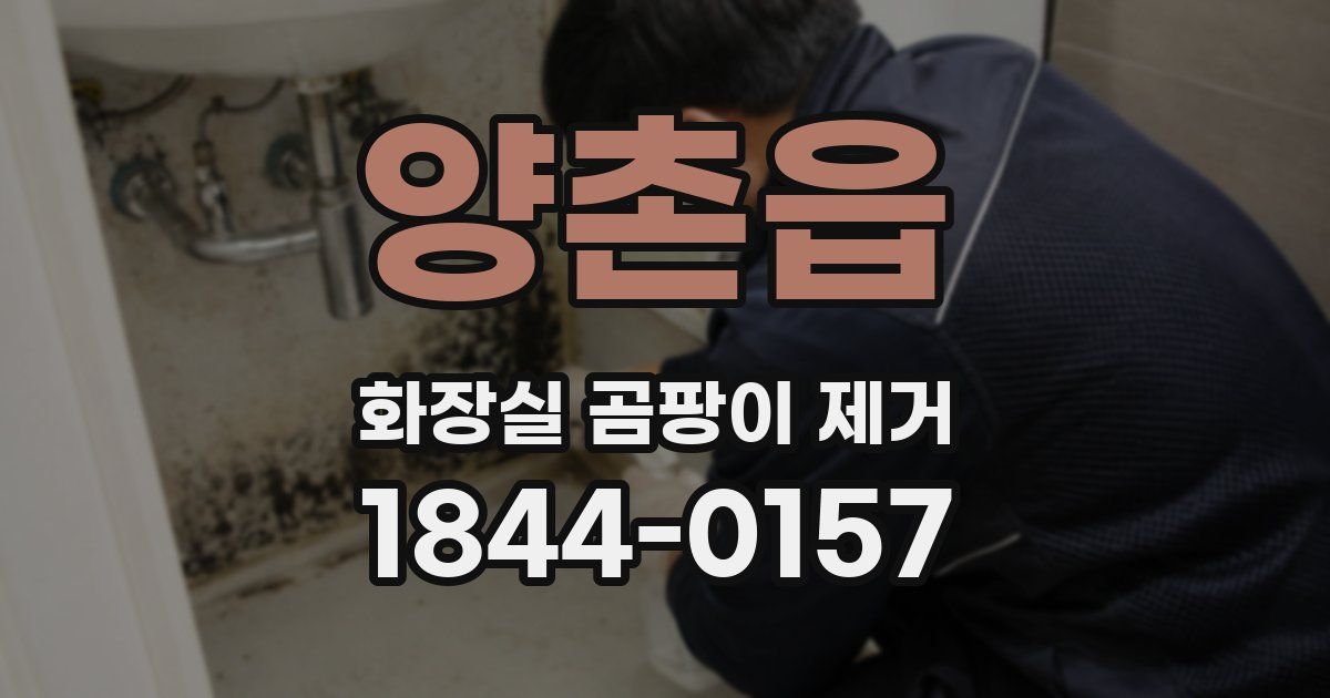 양촌읍 화장실 곰팡이 제거