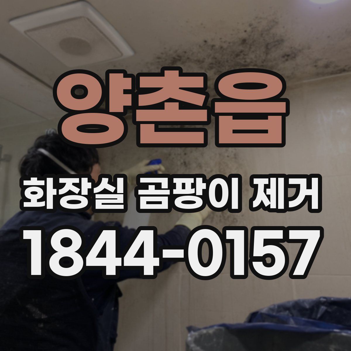 양촌읍 화장실 곰팡이 제거