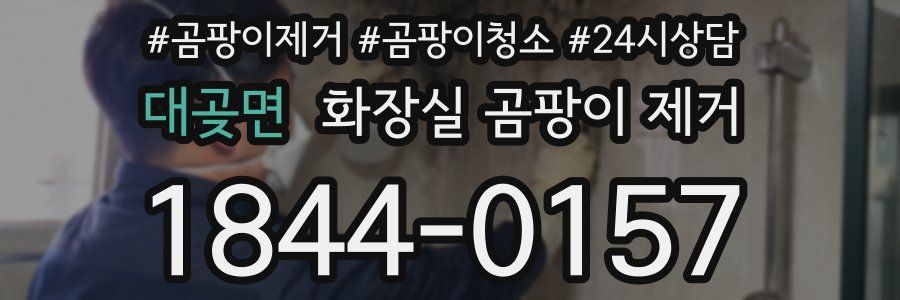 대곶면 화장실 곰팡이 제거