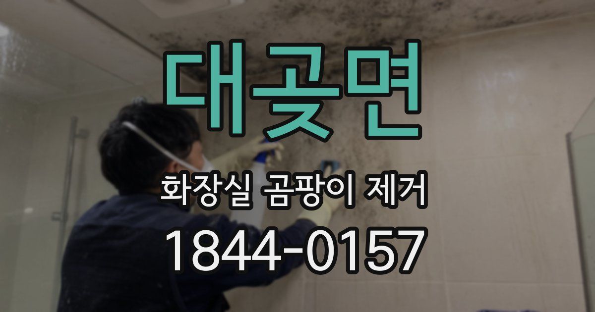 대곶면 화장실 곰팡이 제거