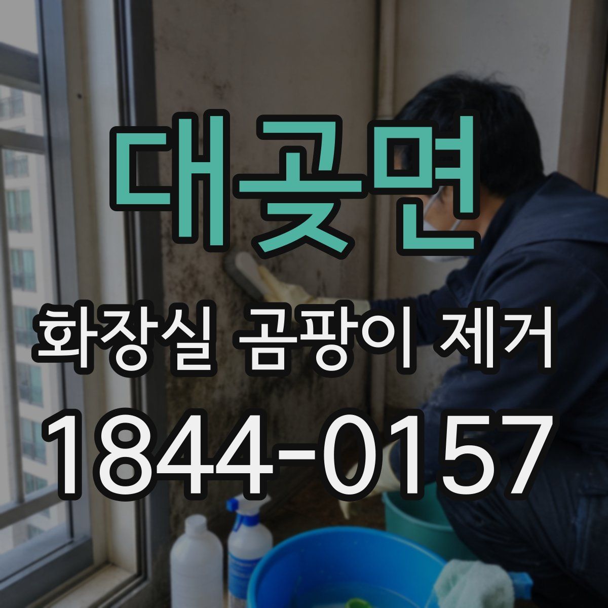 대곶면 화장실 곰팡이 제거