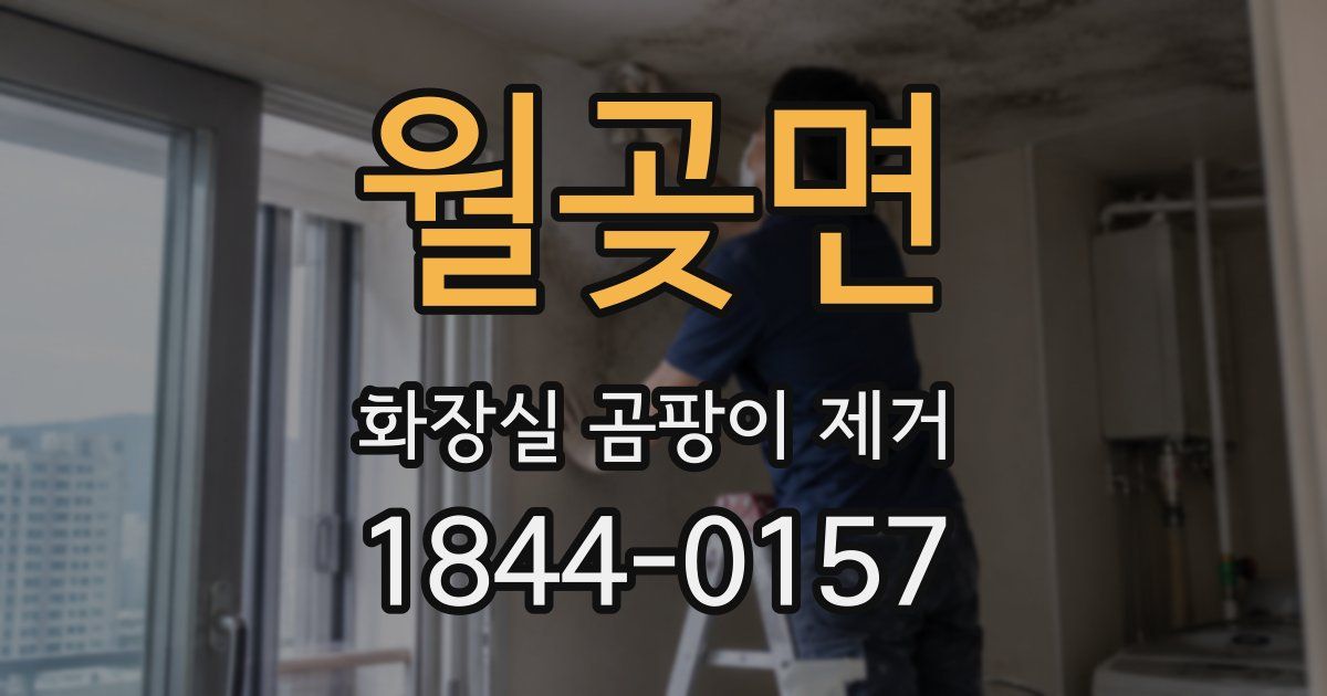 월곶면 화장실 곰팡이 제거