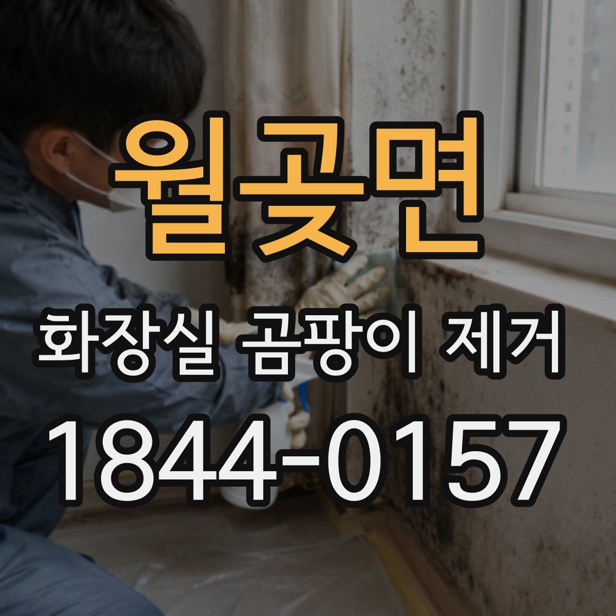 월곶면 화장실 곰팡이 제거