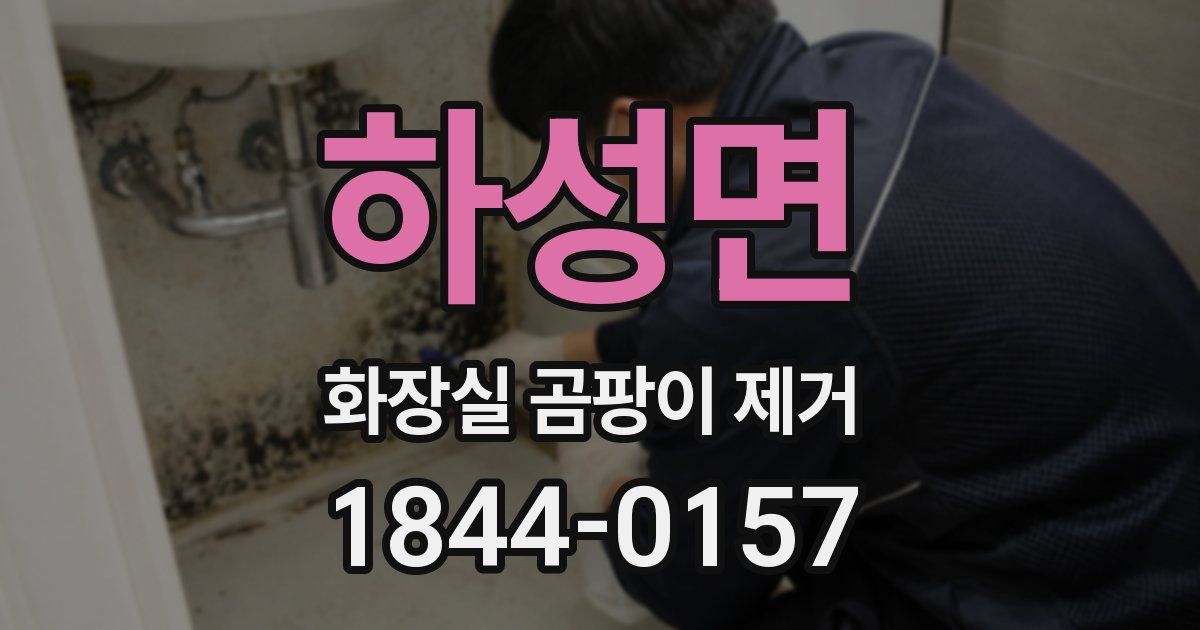 하성면 화장실 곰팡이 제거