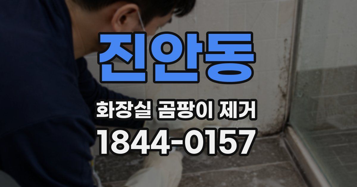 진안동 화장실 곰팡이 제거