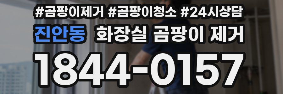 진안동 화장실 곰팡이 제거