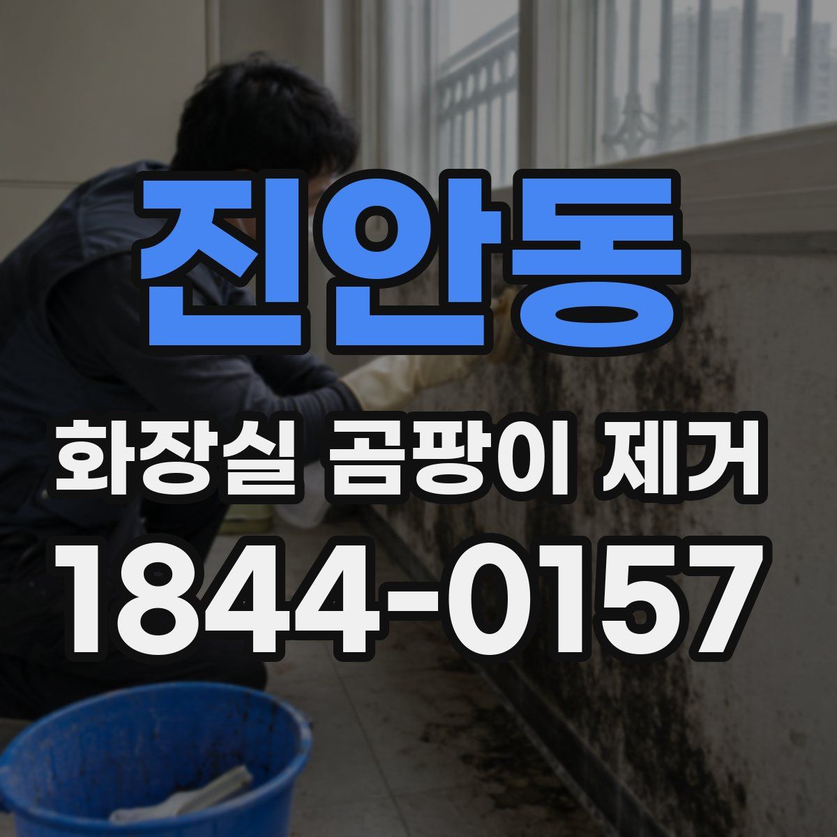 진안동 화장실 곰팡이 제거