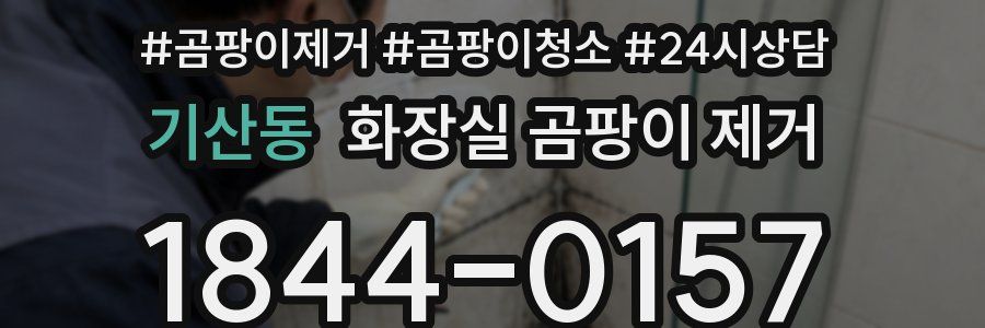 기산동 화장실 곰팡이 제거