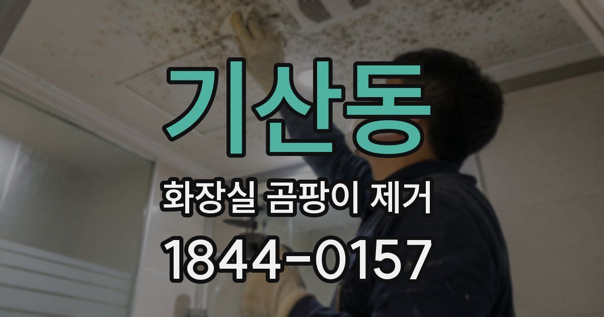 기산동 화장실 곰팡이 제거