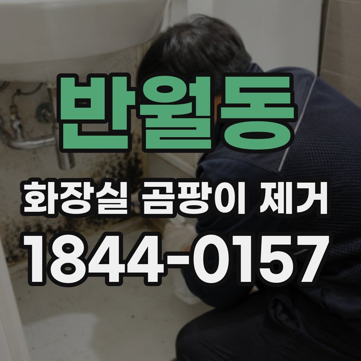 반월동 화장실 곰팡이 제거