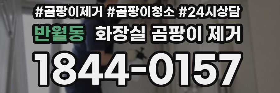 반월동 화장실 곰팡이 제거