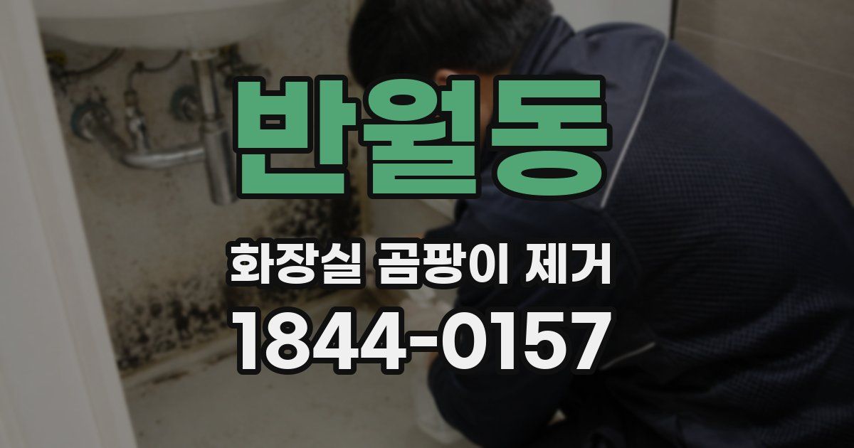 반월동 화장실 곰팡이 제거
